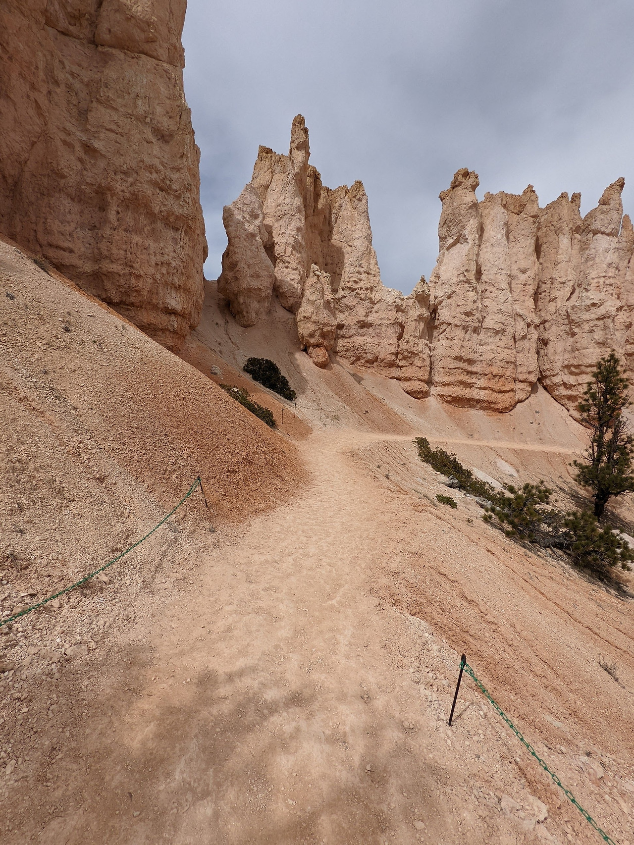 PXL_20220404_212125649 (1).jpg