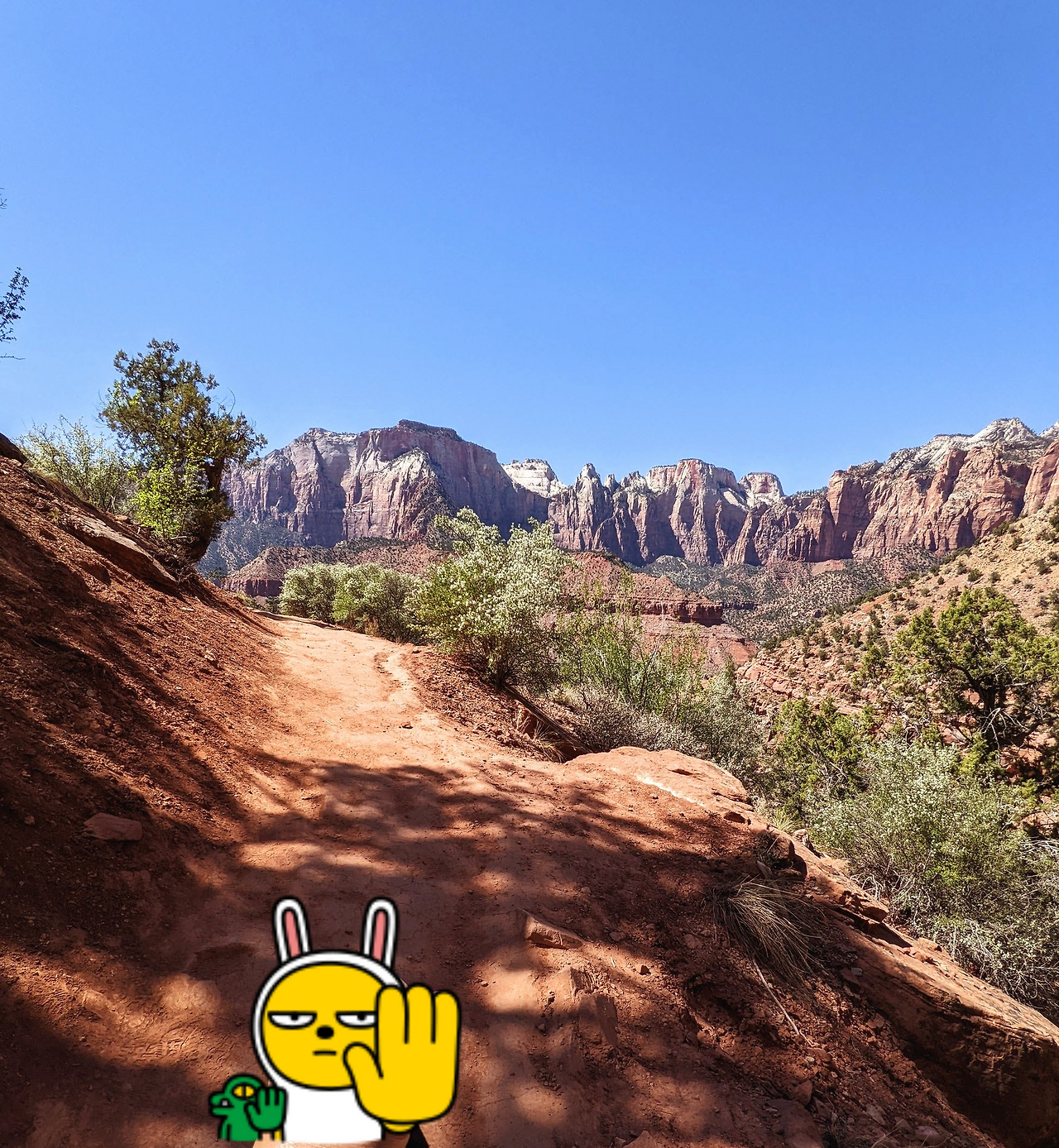 PXL_20220406_205327627 (1).jpg