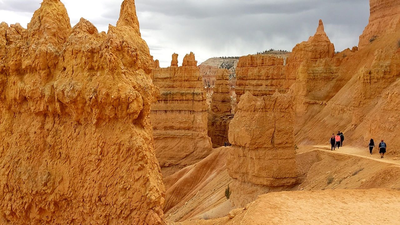 PXL_20220403_210819093_exported_0 (1).jpg