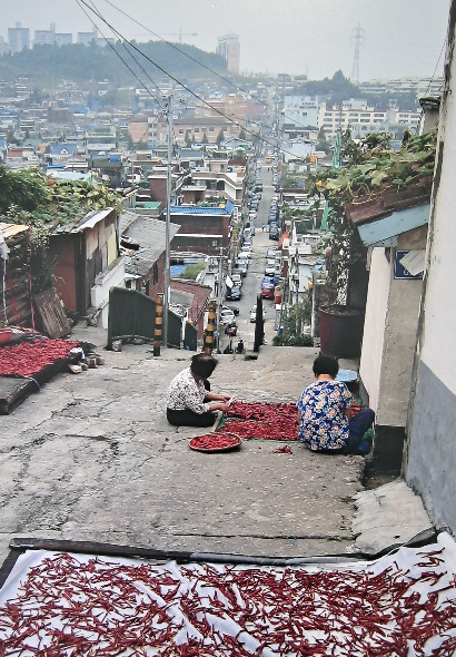 사본 -20240528_133923.jpg