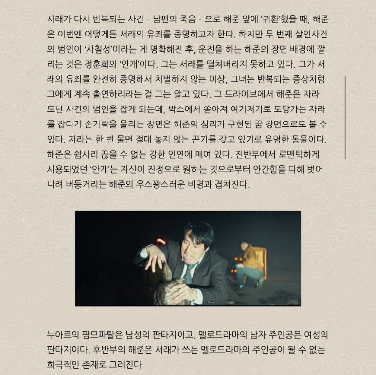 씨네픽션2.jpg