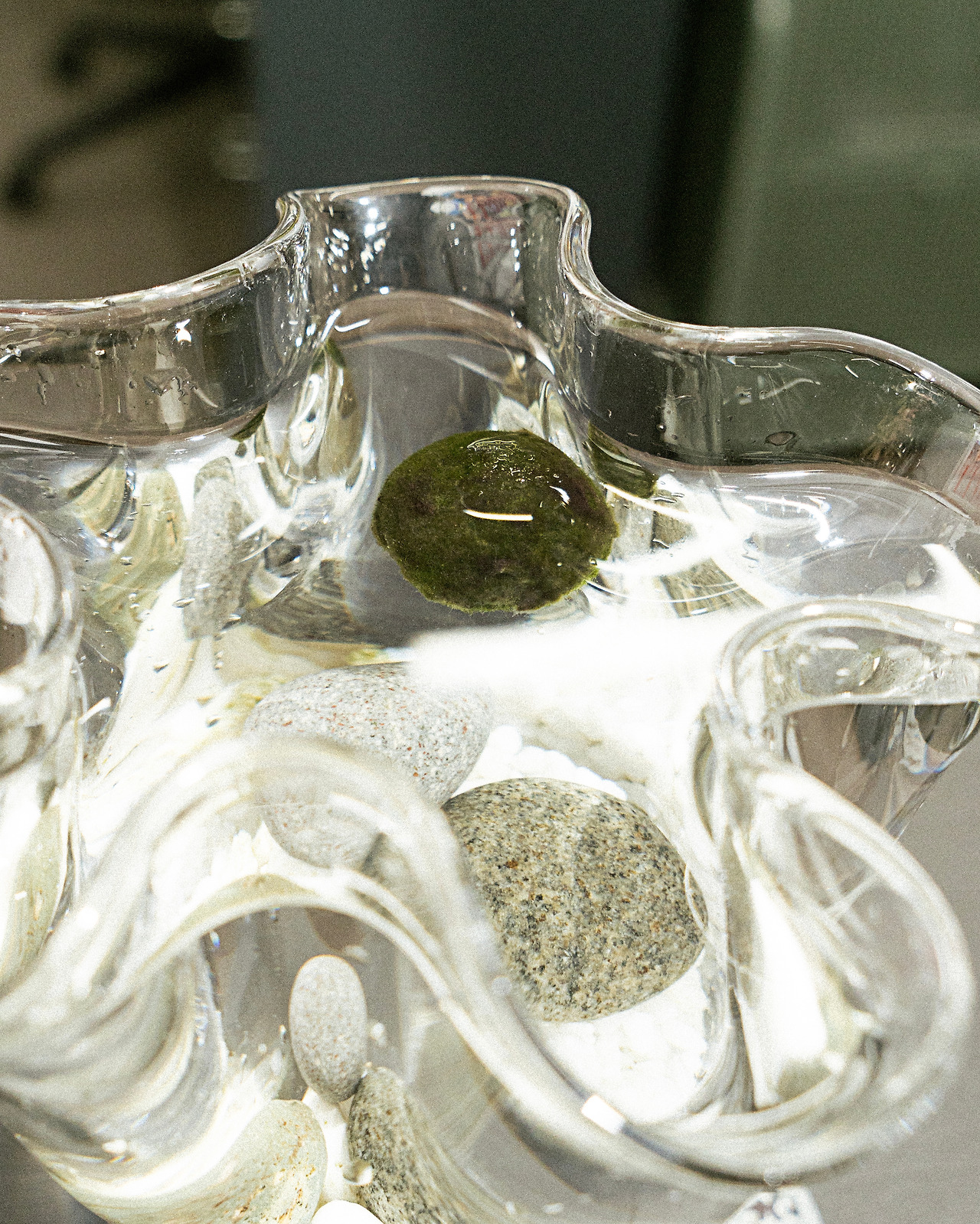 _DSC3737 복사.jpg