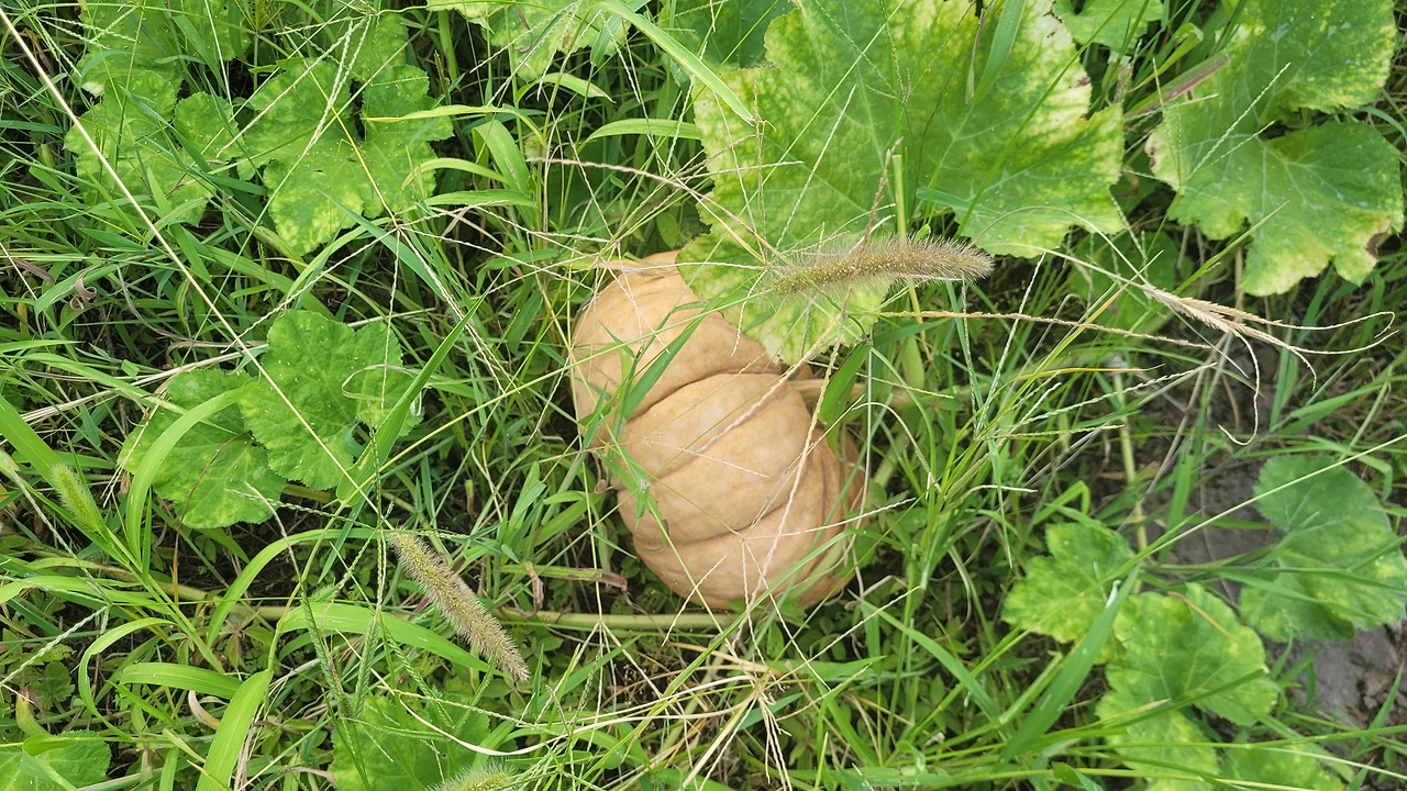 KakaoTalk_20240825_153558795_01 (1).jpg