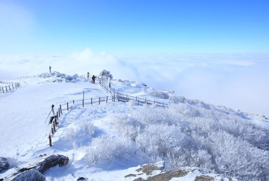 덕유산 겨울_자연특별시무주.jpg