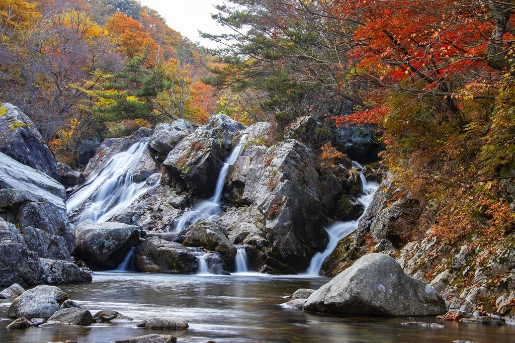 구천동 계곡2_연합뉴스.jpg