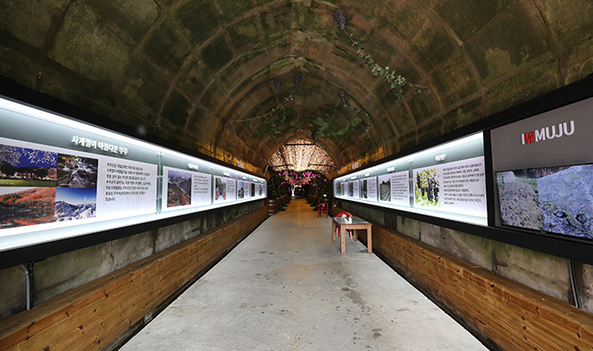 머루와인동굴 내부사진1_자연특별시무주.jpg