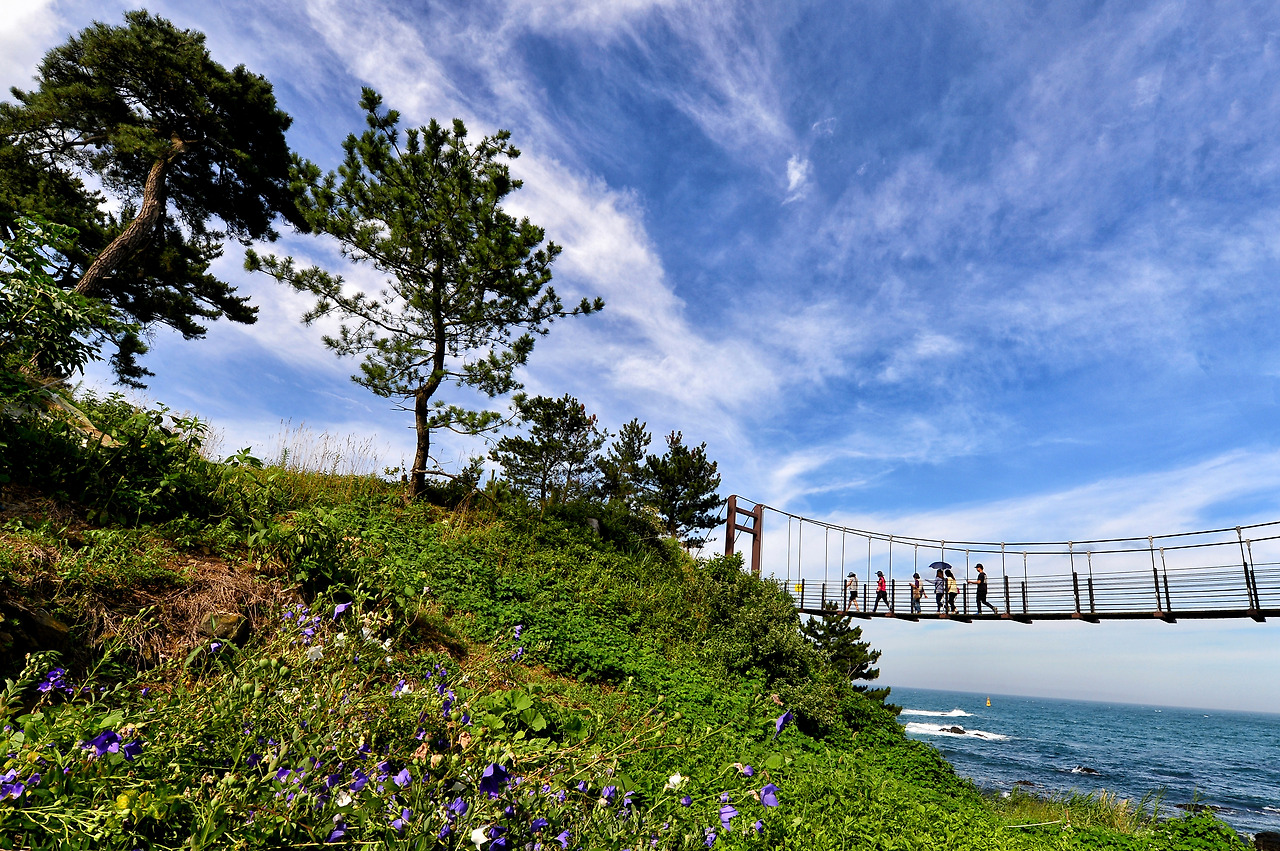 주상절리 출렁다리_김하영(동상)[1].jpg