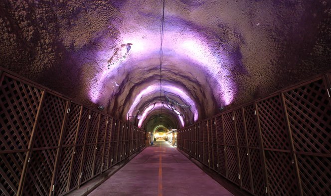 머루와인동굴 사진_자연특별시무주.jpg