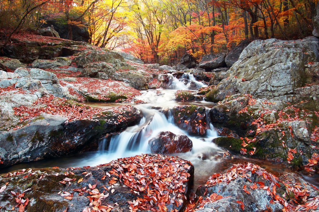 구천동 계곡1_연합뉴스.jpg