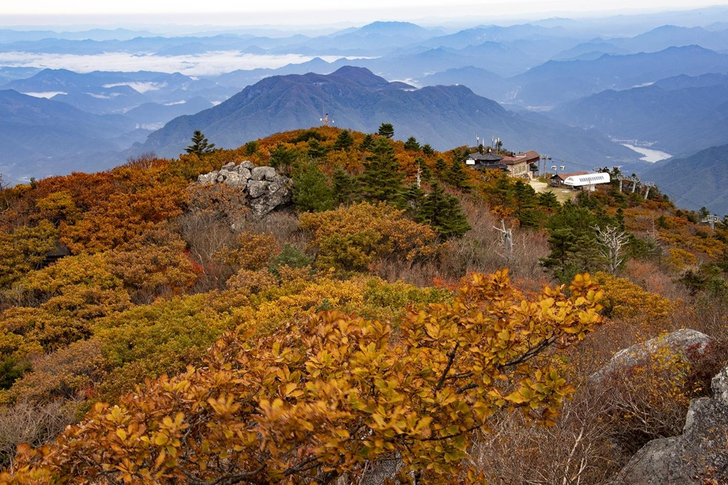 가을 덕유산_연합뉴스.jpg