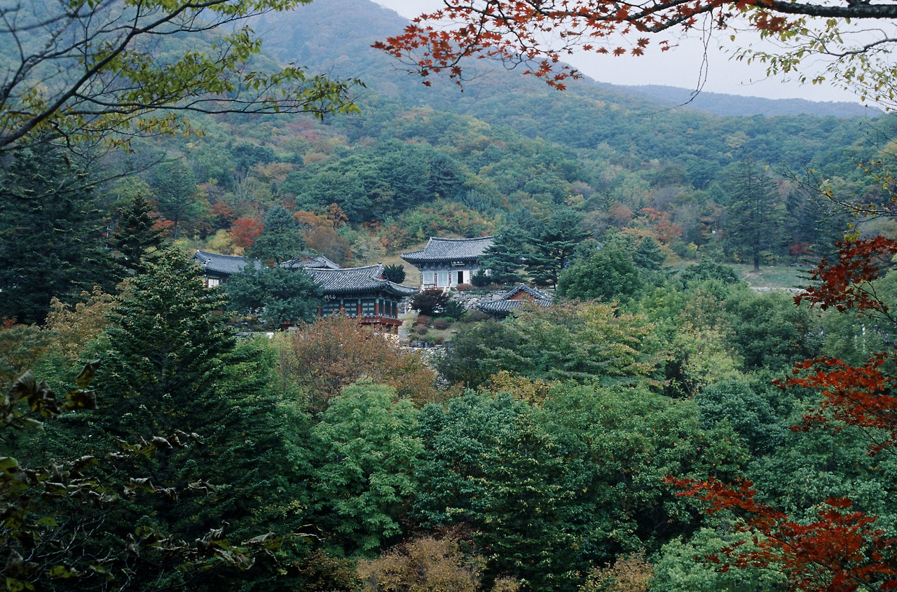 무주 백련사지_한국민족문화대백과사전.jpg