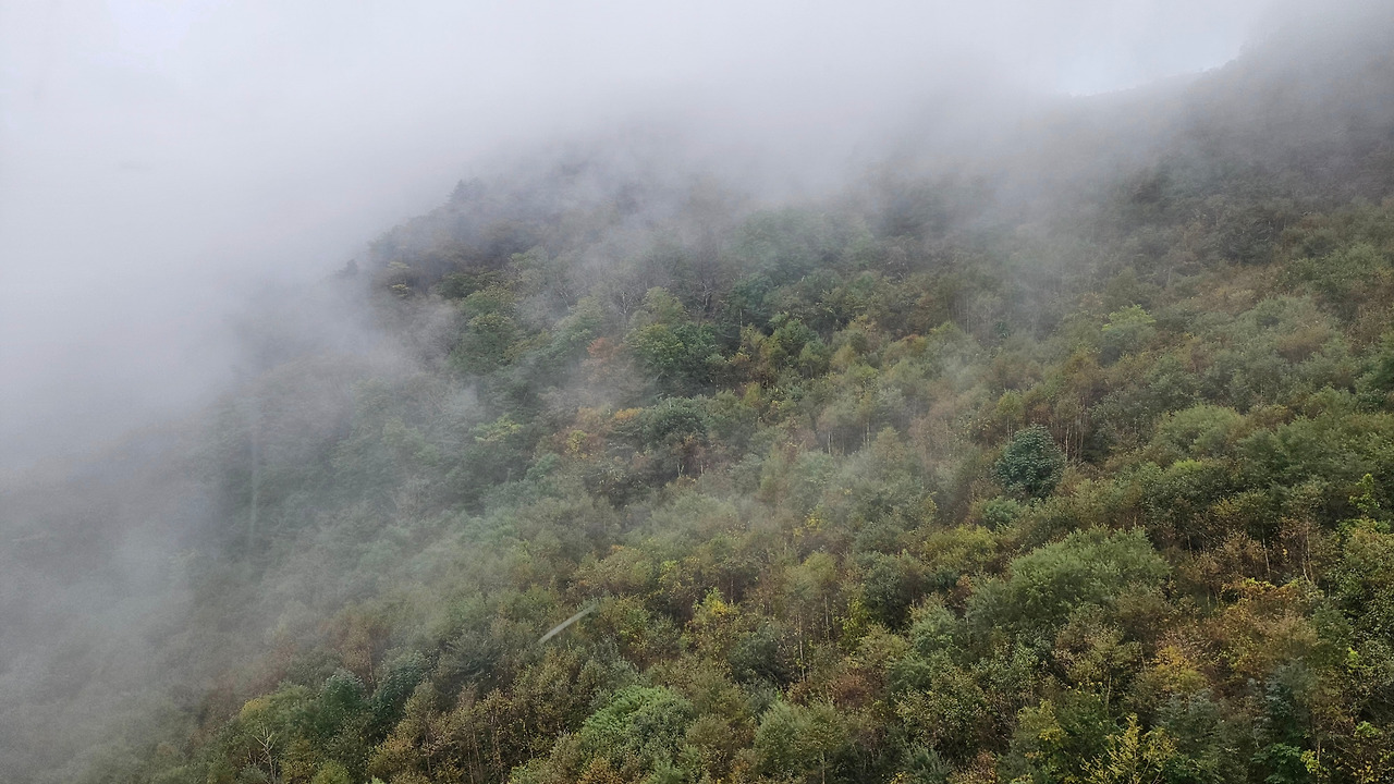곤돌라에서 본 덕유산.jpg