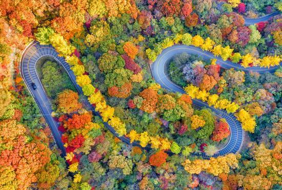 적상산 길_자연특별시무주.jpg