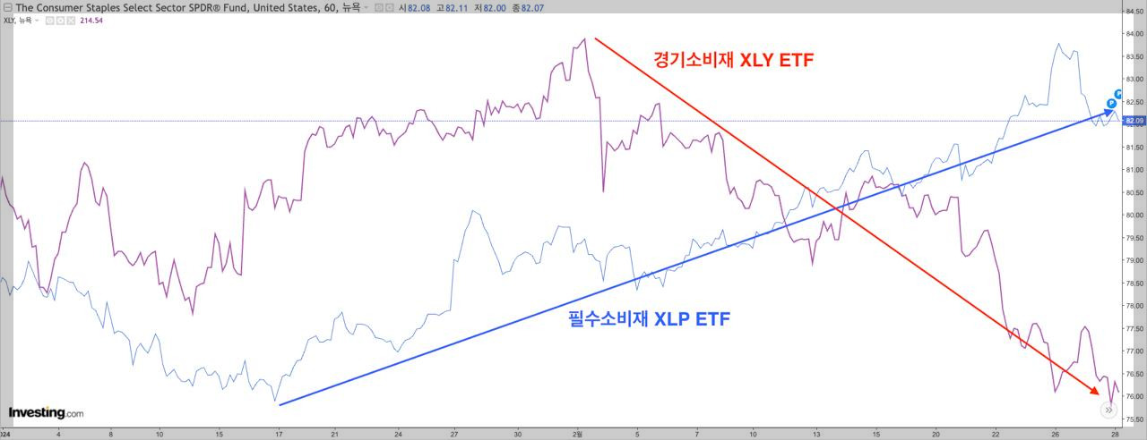 2025-03-04 16.21.26.jpg