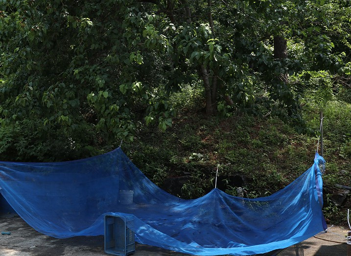 다운로드 (48).jpg