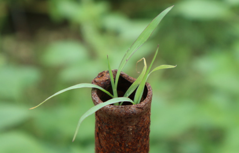 다운로드 (14).jpg