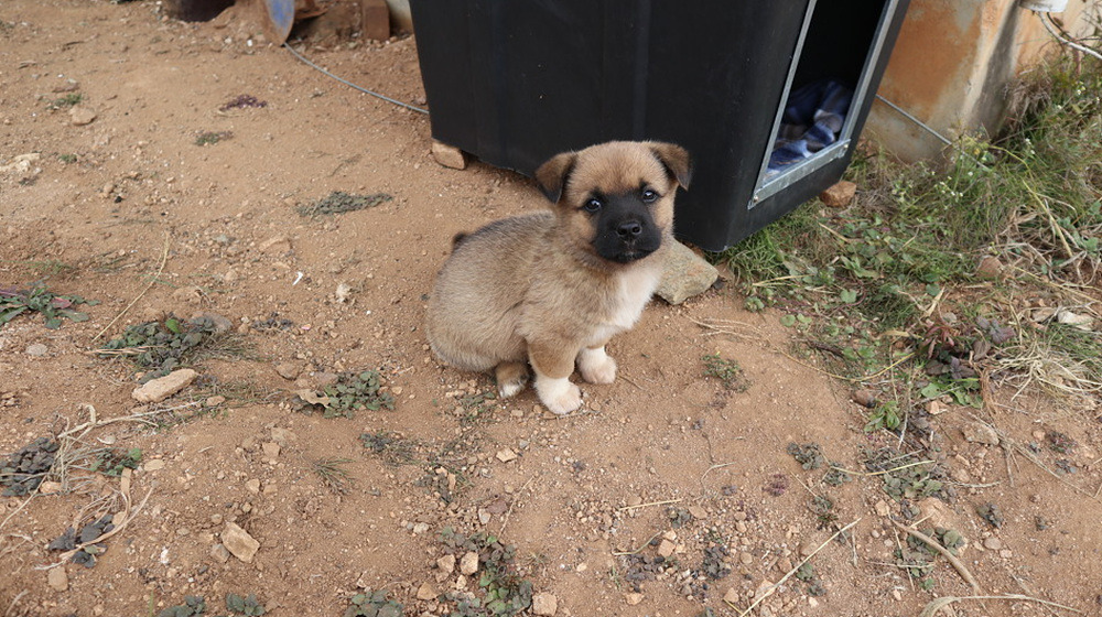 다운로드 (11).jpg