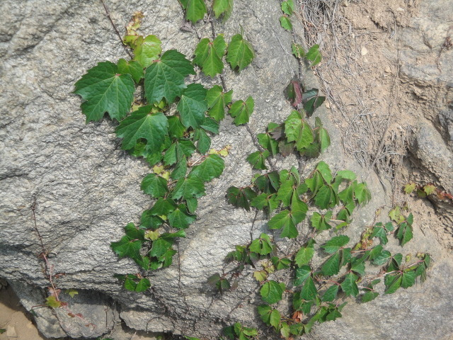 다운로드 (34).jpg