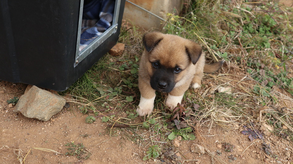 다운로드 (12).jpg