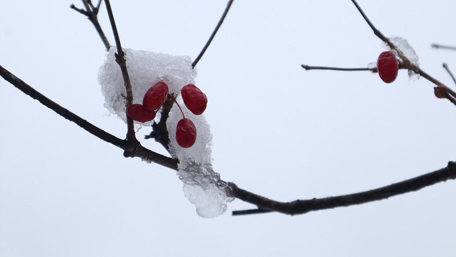 다운로드 (2).jpg