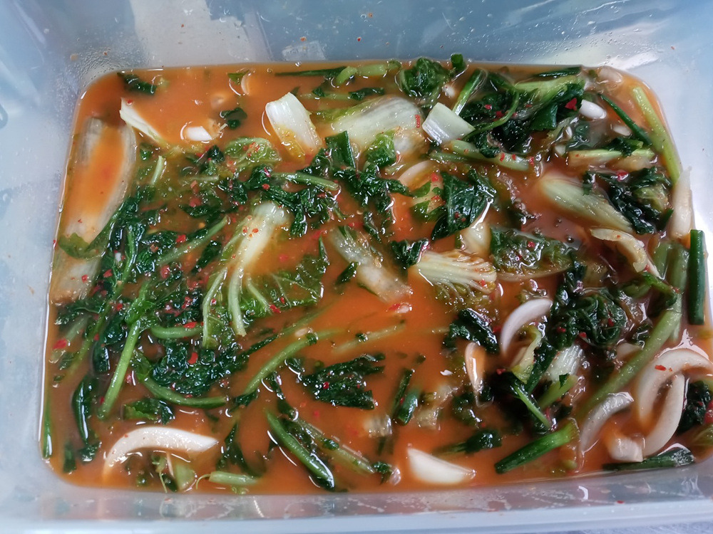 다운로드 (24).jpg