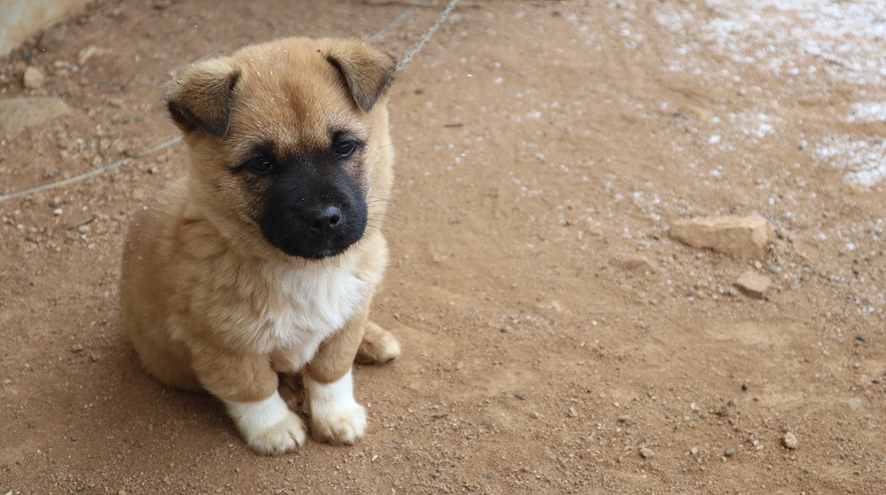 다운로드 (10).jpg