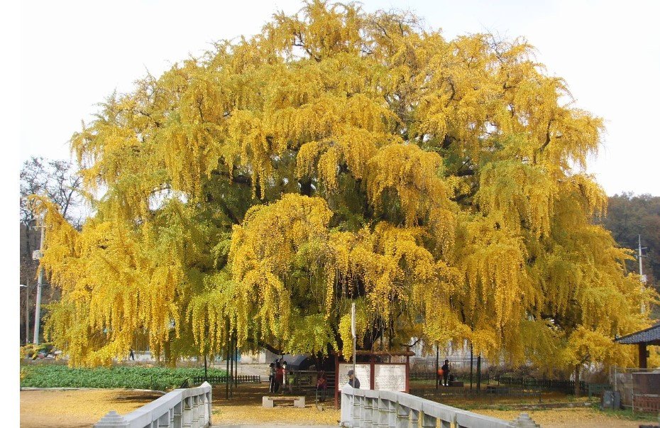 화면 캡처 2023-05-24 210202.jpg