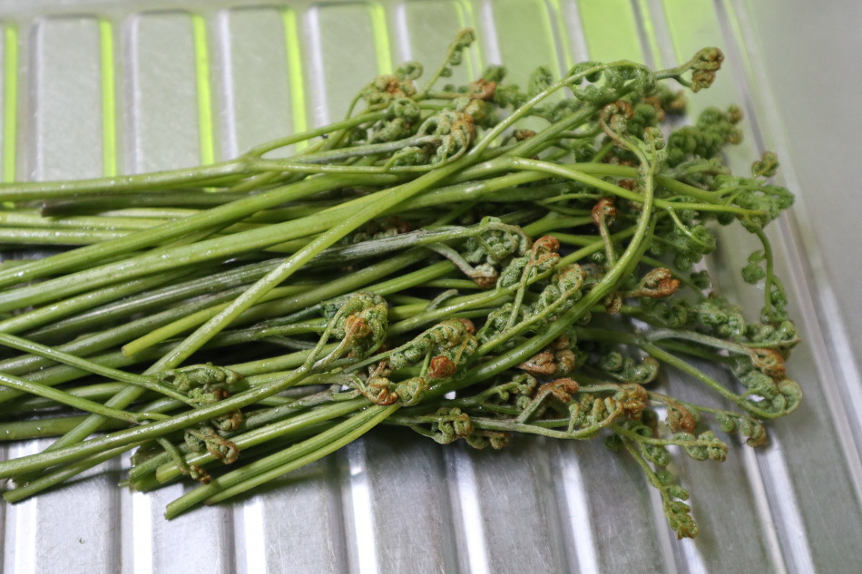 다운로드 (51).jpg