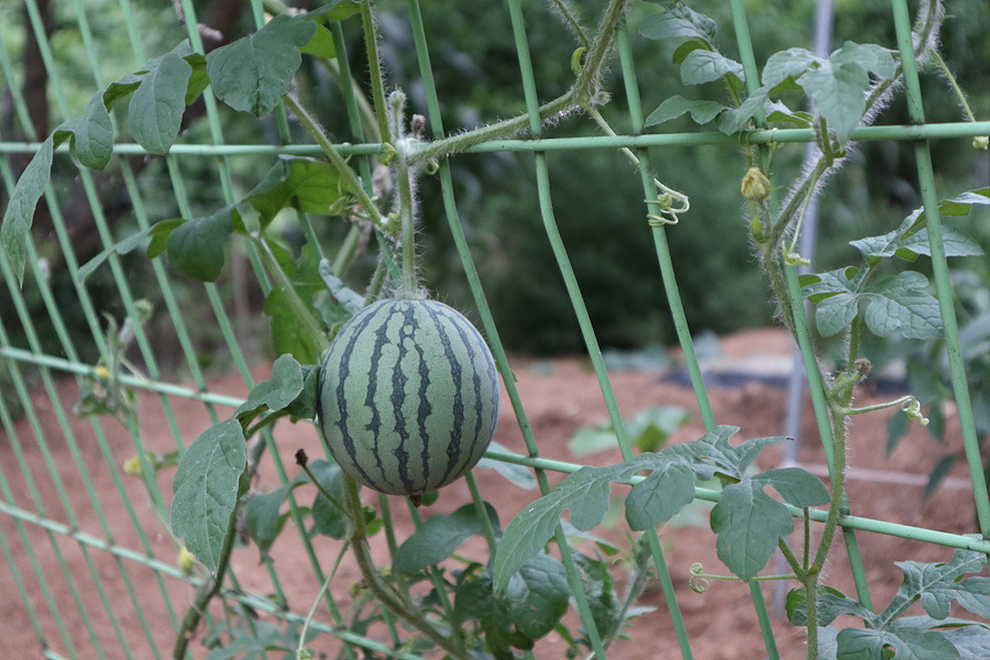 다운로드 (30).jpg