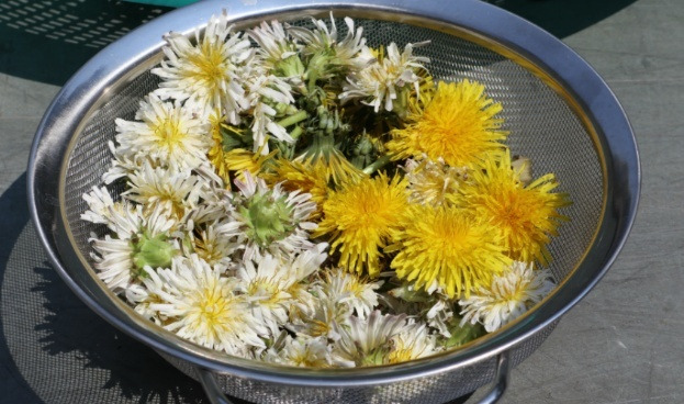 다운로드 (29).jpg