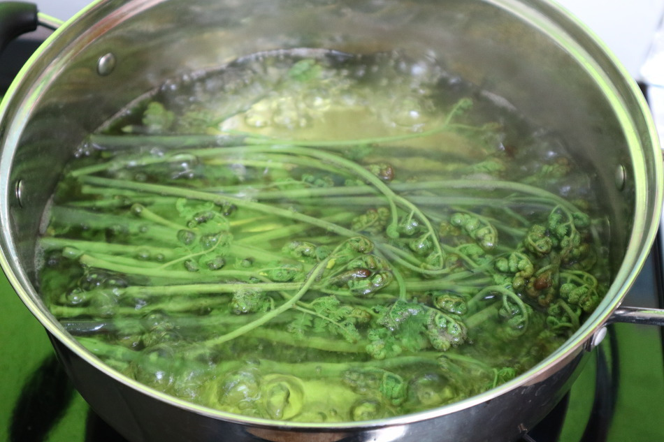 다운로드 (52).jpg