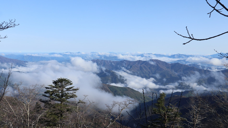 다운로드 (6).jpg