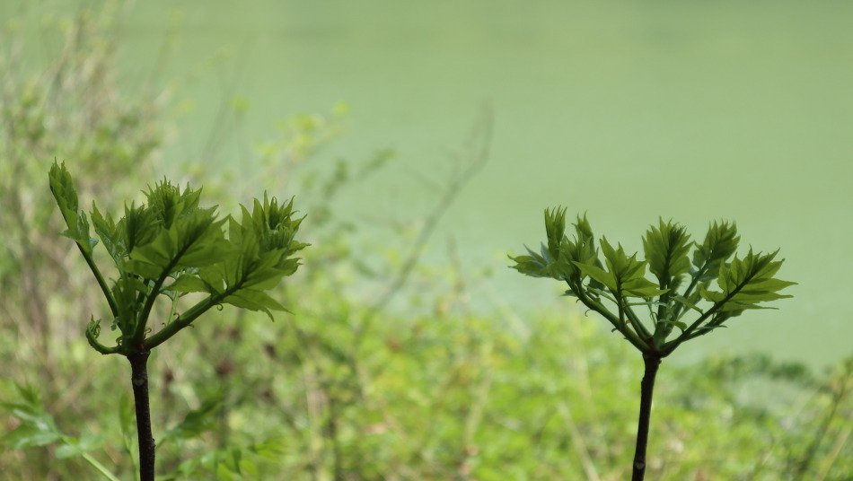 다운로드 (8).jpg