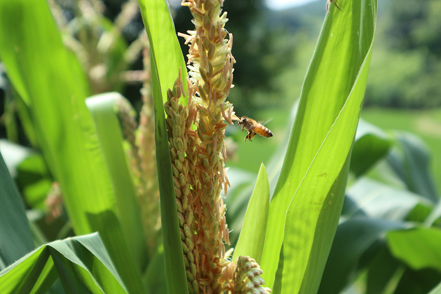 다운로드 (3).jpg