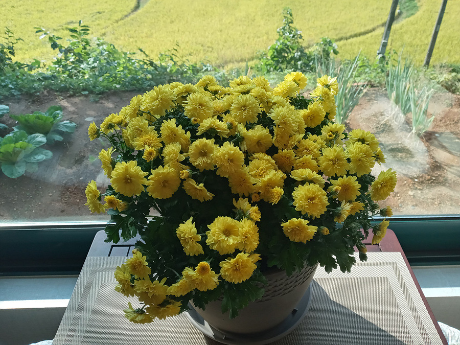 다운로드 (1).jpg