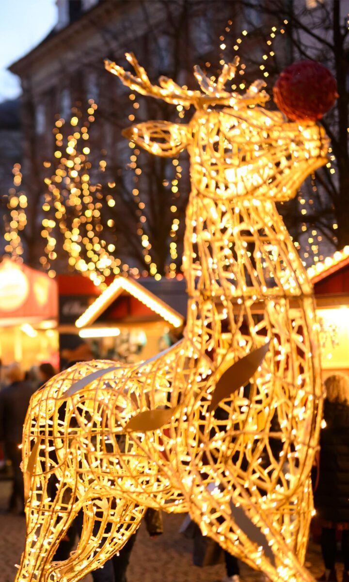 julemarked-model-af-rensdyr-med-lys-01-720x1200.jpg