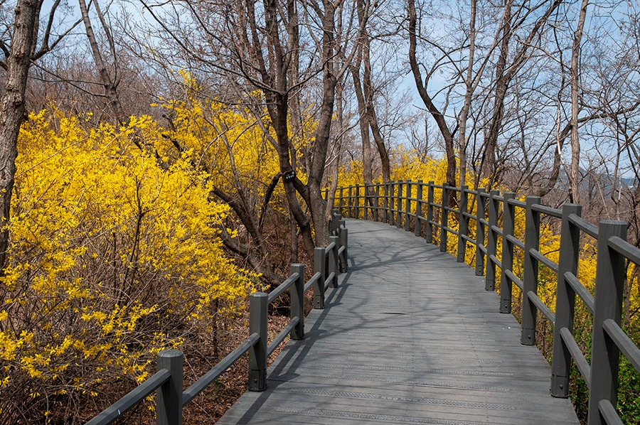 웹_DSC0839 복사.jpg