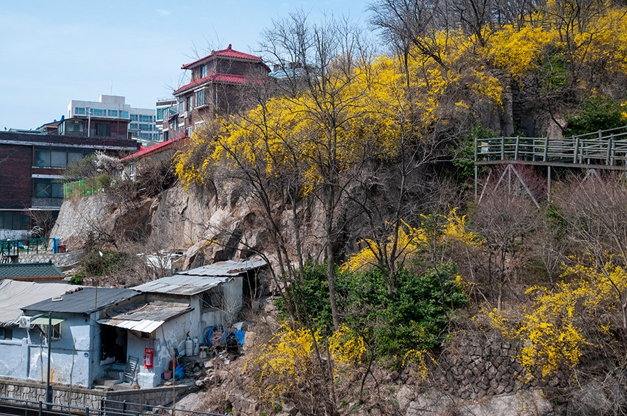 웹_DSC0814 복사.jpg