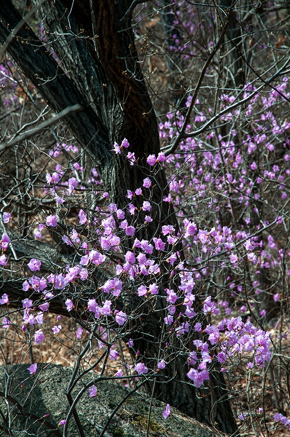 웹_DSC0858 복사.jpg