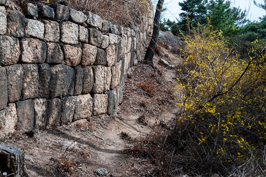 웹_DSC0864 복사.jpg