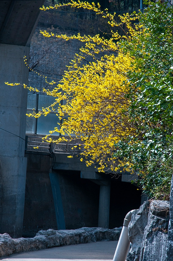 웹_DSC0803 복사.jpg