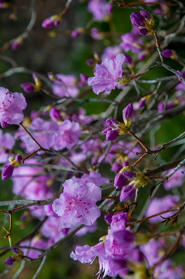 웹_DSC0863 복사.jpg