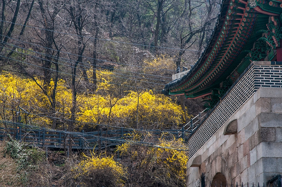 웹_DSC0800 복사.jpg