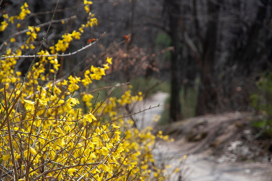 웹_DSC0851 복사.jpg