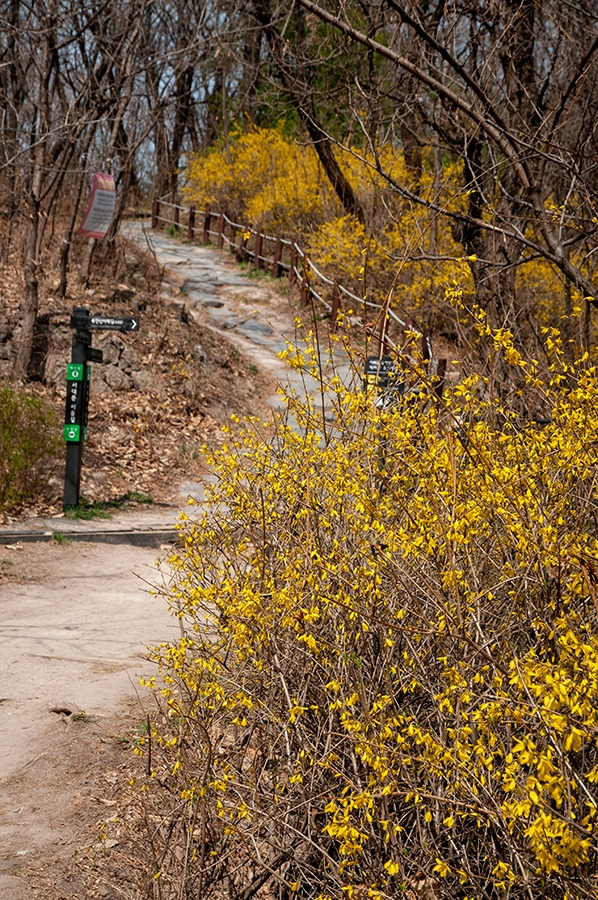 웹_DSC0849 복사.jpg