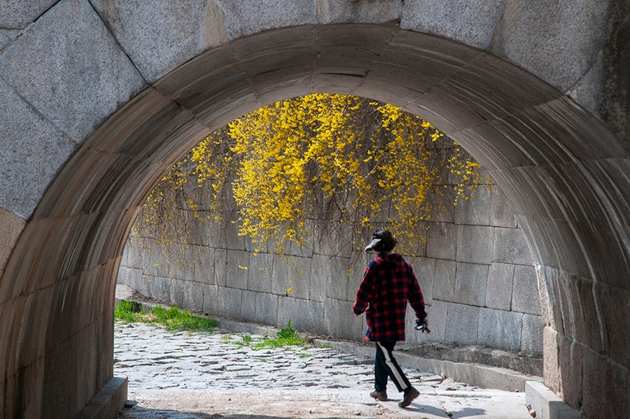 웹_DSC0799 복사.jpg