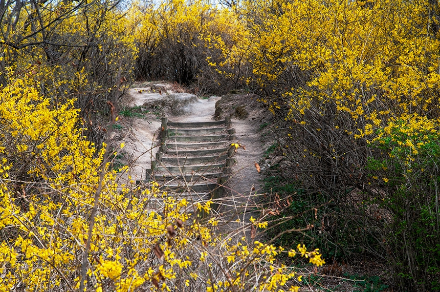 웹_DSC0833 복사.jpg