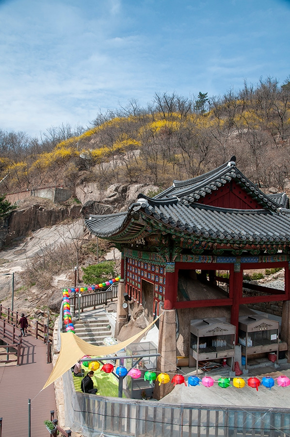 웹_DSC0813 복사.jpg