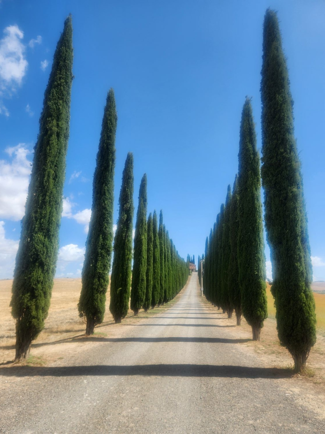 투스카니길.jpg