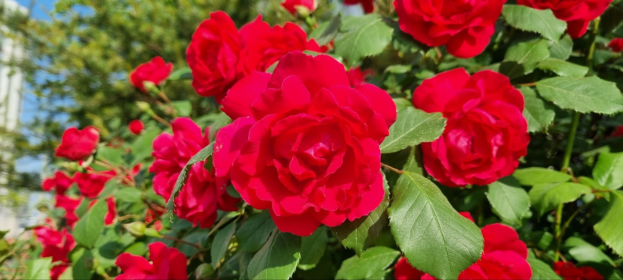 KakaoTalk_20220514_121143424_28 (1).jpg